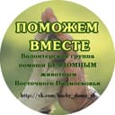 Канал Поможем вместе в Telegram