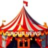 Telegram-канал Circus News