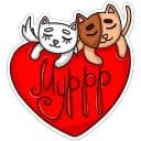 Стикеры Котики в Telegram