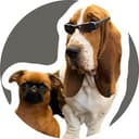 Канал Chudiki_dogs в Telegram