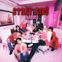 Канал STRAY KIDS | INARMY в Telegram