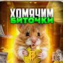 Канал Хомячим Биточки в Telegram