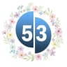 Telegram-канал "53 новости" Великий Новгород и область🇷🇺