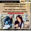 Канал ❤️#кураторы_Света&Мила Помощь хвостикам Ростов на Дону и область у нас 🐶🐱🦮🐕‍🦺🐕более 160 хвостиков🐾 в Telegram