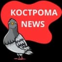 Канал Кострома_NEWS в Telegram