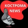 Telegram-канал Кострома_NEWS