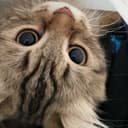 Канал 𝙰𝚎𝚜𝚝𝚑𝚎𝚝𝚒𝚌𝚜 в Telegram