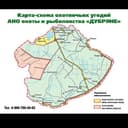Канал ДУБРЯНЕ в Telegram