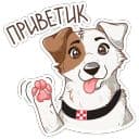 Стикеры Питомцы в Telegram