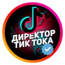Канал ДИРЕКТОР ТИК ТОКА в Telegram