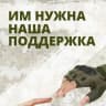 Telegram-канал Алфимовцы