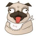 Стикеры Мопс Лютик в Telegram