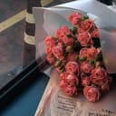 Канал ғᴀʀʜᴀɴᴀ💗 в Telegram