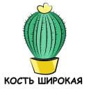 Стикеры Это кактус в Telegram