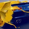 Telegram-канал Авто из США | USAMOTORS