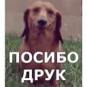 Стикеры Пёсели в Telegram