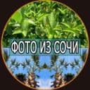 Канал Фото из Сочи в Telegram