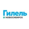 Telegram-канал Гилель в Новосибирске