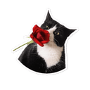 Стикеры Милые Питомцы в Telegram