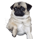 Стикеры Тупизм и восхищение в Telegram