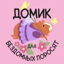 Канал ДОМИК для бездомных поросят в Telegram