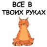 Йога с котом и лисичкой