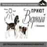Telegram-канал Приют для бездомных животных
