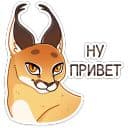Стикеры Сеймурр в Telegram
