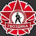 Канал ЦВП Гвоздика г. Тольятти в Telegram