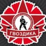 Telegram-канал ЦВП Гвоздика г. Тольятти
