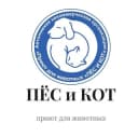 Канал Приют Пес и Кот Южно-Сахалинск в Telegram