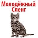 Стикеры Молодёжный сленг в Telegram