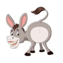 Канал Веселый ослик. в Telegram