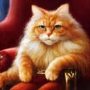 Канал Кот Х.П. в Telegram