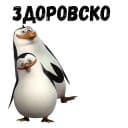 Стикеры Пингвин в Telegram