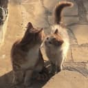 Канал [public] люблю в Telegram