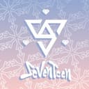 Канал SEVENTEEN • 세븐틴 • Pledis Ent. в Telegram