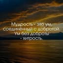 Канал Афоризмы | Цитаты в Telegram