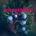 Канал Находки на Wildberries🔥 в Telegram