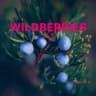 Telegram-канал Находки на Wildberries🔥