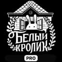Канал Портфолио, реклама, кастинги, детский КВН в Telegram