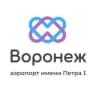 Telegram-канал Аэропорт Воронеж