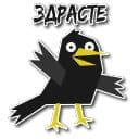 Стикеры Дрозд Мерл в Telegram