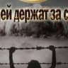 Telegram-канал Людей держат за скот
