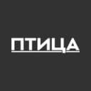 Канал Птица Абакан в Telegram