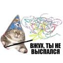 Стикеры Кот вжух в Telegram