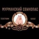 Канал Мурманский свинопас в Telegram