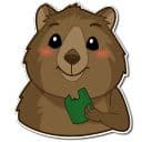 Стикеры Квокка в Telegram