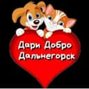 Канал help_dog_cat_dalas в Telegram