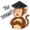 Обезьяна хочет в колледж